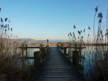 Boardwalk amidst trees against clear sky