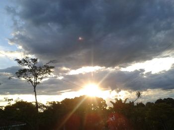 Low angle view of trees against sky during sunset