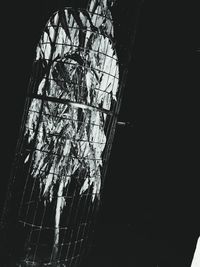 Close-up low angle view of sunlight