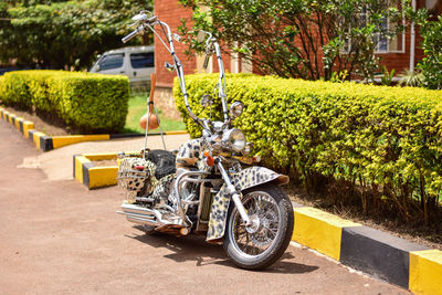 Bicycles parked on road in city