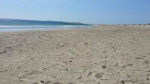 Scenic view of beach