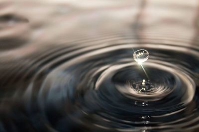 Close-up of water drop