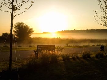 Scenic view of field against sky during sunset