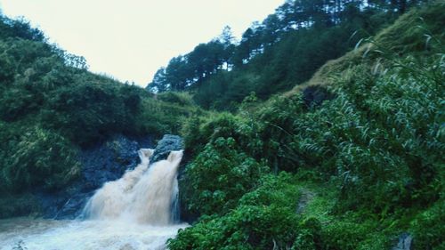 Scenic view of waterfall in forest against sky