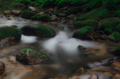 Scenic view of waterfall