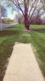 Footpath on grassy field