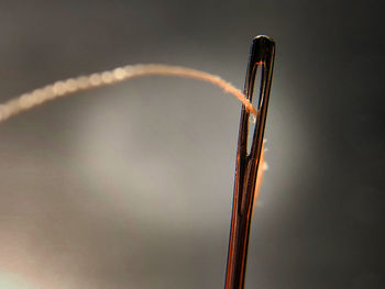 Low angle view of wire against sky