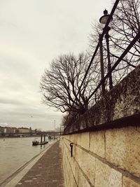 Bare tree in city against sky