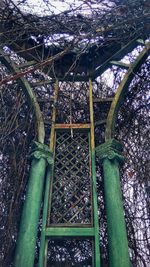 Low angle view of bamboo trees in a park