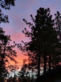 Low angle view of silhouette trees against sky at sunset