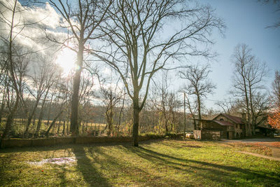 Bare trees on field against sky