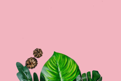 Digital composite image of pink leaves against gray background