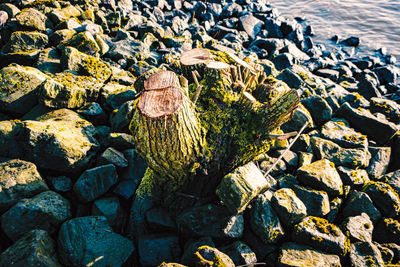 High angle view of stones on beach