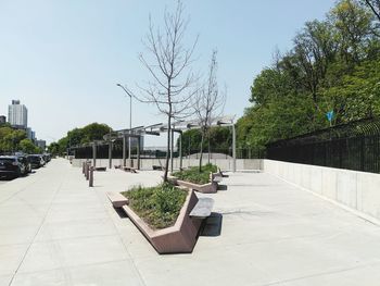 Footpath amidst plants against sky in city