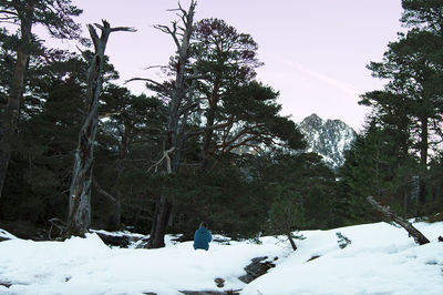Scenic view of snow covered landscape