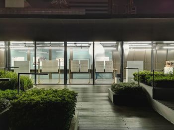 Potted plants on glass window of building