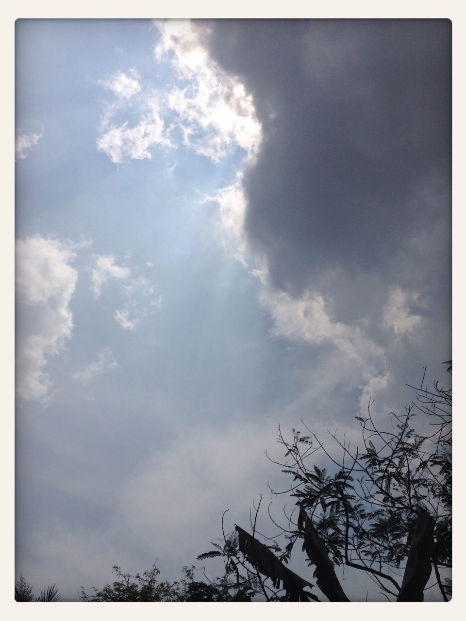 transfer print, low angle view, sky, auto post production filter, cloud - sky, cloudy, cloud, tree, silhouette, nature, beauty in nature, tranquility, high section, outdoors, bare tree, day, no people, scenics, branch, blue