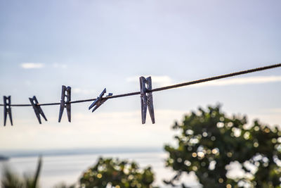 Close-up of barbed wire hanging on rope against sky