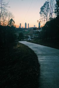 Bare trees in park