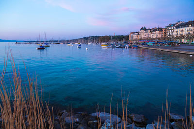 Sailboats moored in harbor