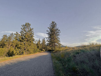 Road amidst trees against sky