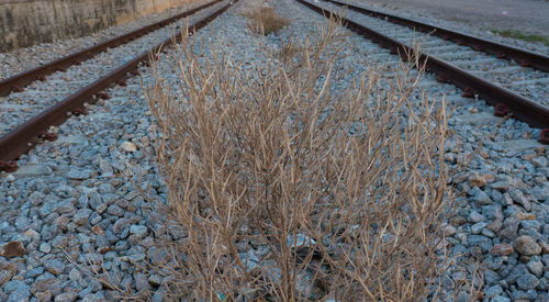High angle view of railroad tracks on field