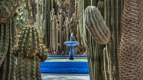 Low angle view of fountain