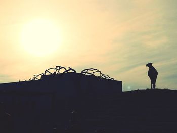 Rear view of silhouette man standing against sky