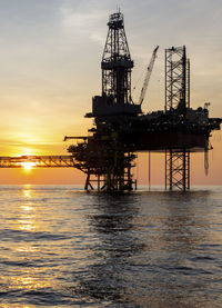 Cranes in sea against sky during sunset