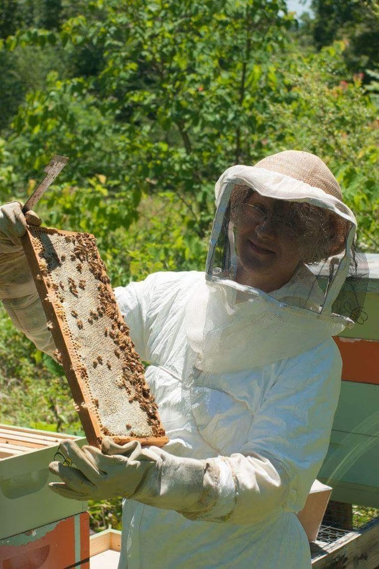 first honey Honeycomb Capped Honey Beekeeping Beekeeper Beehive Beekeeping Honey Frame Working Protective Glove Occupation Smiling Protective Workwear Men Women Cheerful Standing Agriculture Honeycomb Honey Bee APIculture Colony Insect Beehive Honey