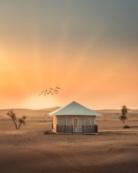 Birds flying over beach against sky during sunset
