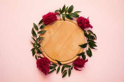 Directly above shot of potted plant against white background