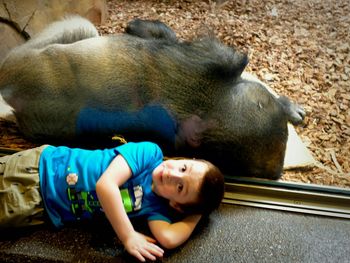 Young boy sitting back to back with monkey in zoo