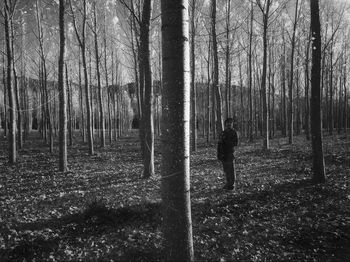 Rear view of man walking in forest