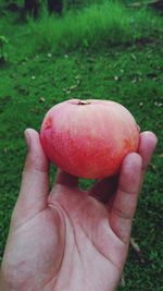 Close-up of cropped hand holding food