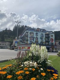 Scenic view of flowering plants against cloudy sky