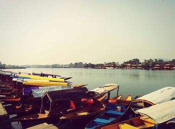 Boats in harbor