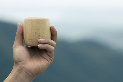 Cropped hand of person holding wood