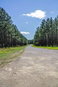 Road amidst trees against sky