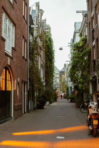 Cars on street in city