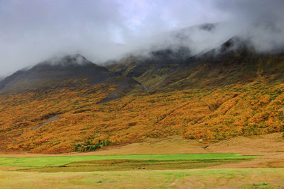 Scenic view of field against sky