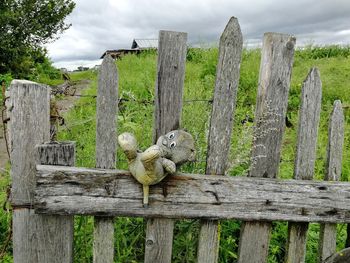 Wooden post in a fence