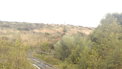 Scenic view of landscape against clear sky