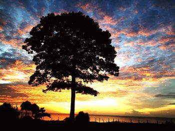 Silhouette tree against sky during sunset