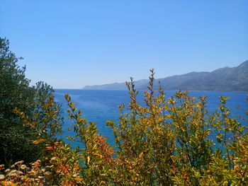 Scenic view of calm sea against clear sky