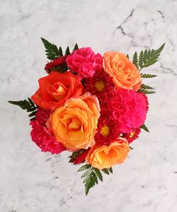 Close-up of multi colored roses in snow