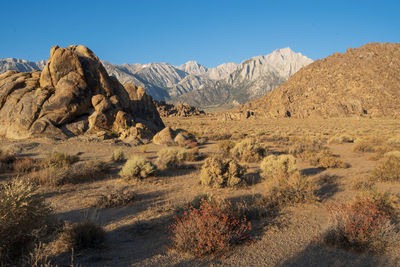 Scenic view of desert against clear blue sky