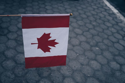 High angle view of maple leaf on footpath