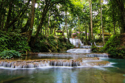 View of waterfall in forest