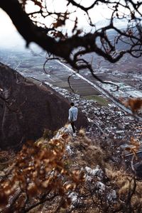 View of bird on rock